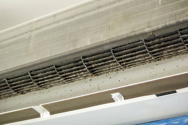 Best Air Duct Sanitizing Services  in Fearrington Village, NC